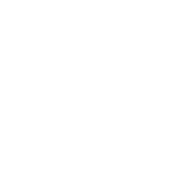 Decorative circle bottom left